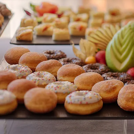 Nh Pontevecchio Hotel Lecco